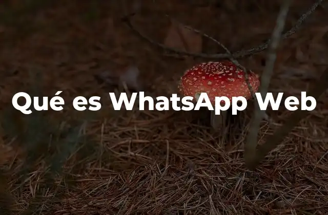 Qué es Whatsapp Web
