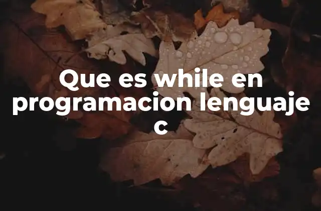 Que es While en Programacion Lenguaje C