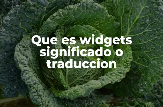 Que es Widgets Significado o Traduccion
