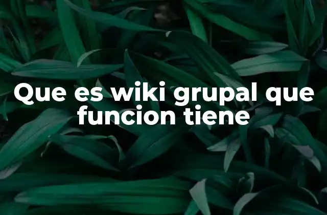 Que es Wiki Grupal que Funcion Tiene