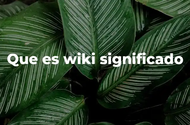 La evolución de los wikis en la era digital