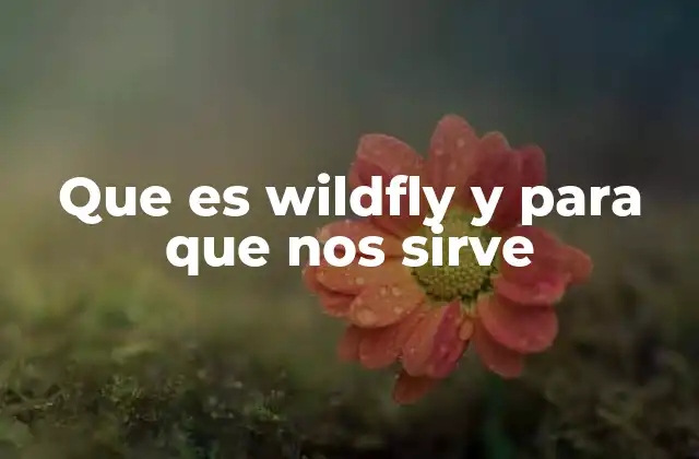 Que es Wildfly y para que Nos Sirve