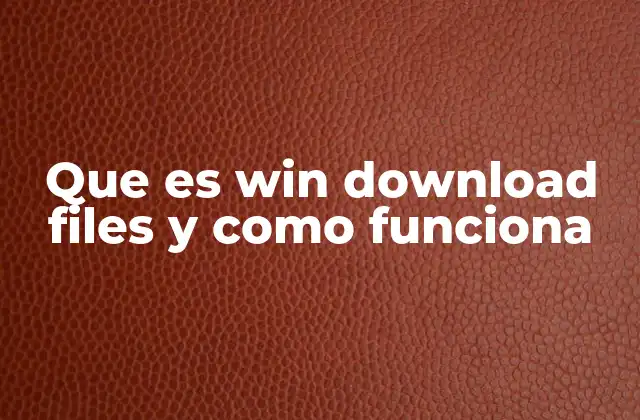 Que es Win Download Files y como Funciona