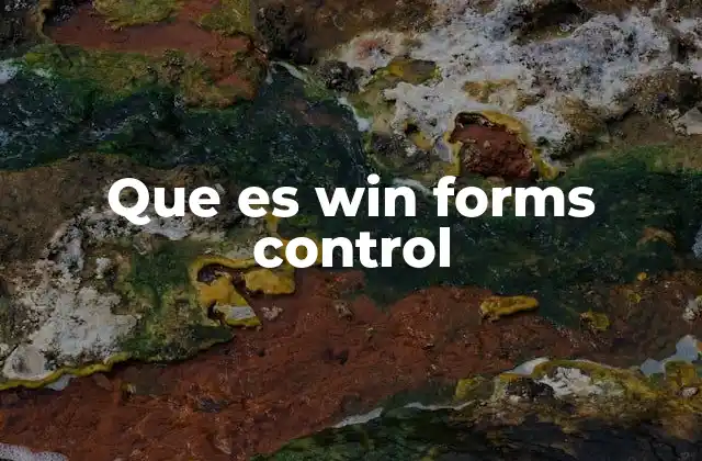 Que es Win Forms Control