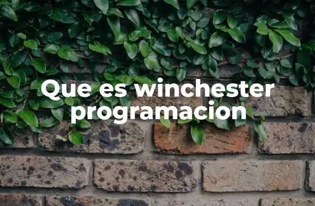 Que es Winchester Programacion 2 El papel del Winchester en la evolución del almacenamiento de datos