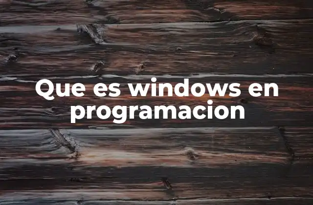 Que es Windows en Programacion
