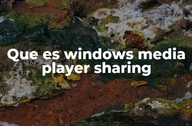 Que es Windows Media Player Sharing