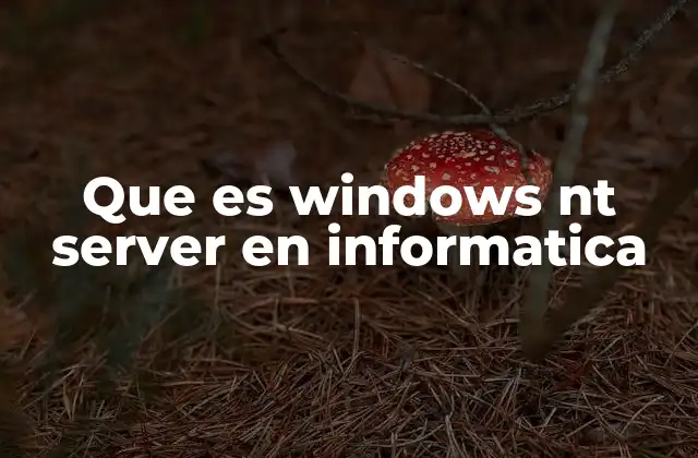 Que es Windows Nt Server en Informatica