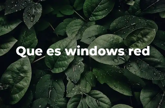 Que es Windows Red