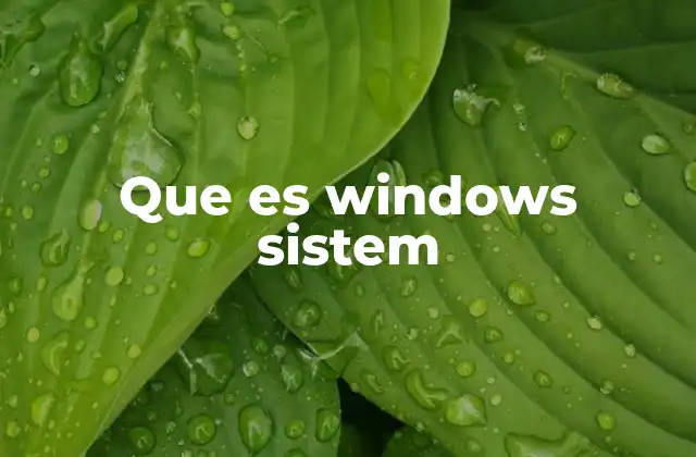 Que es Windows Sistem