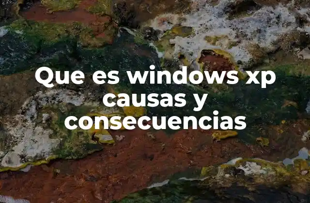 Que es Windows Xp Causas y Consecuencias