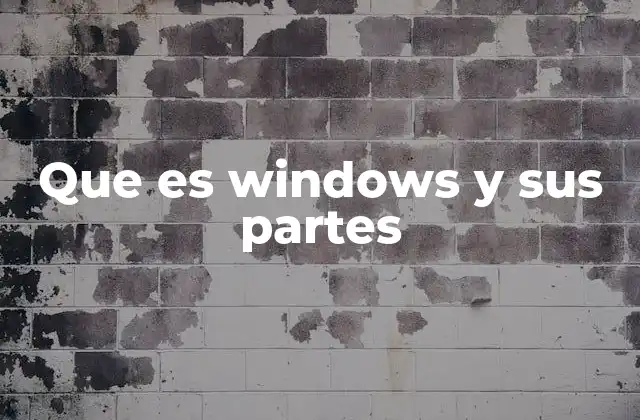 Que es Windows y Sus Partes