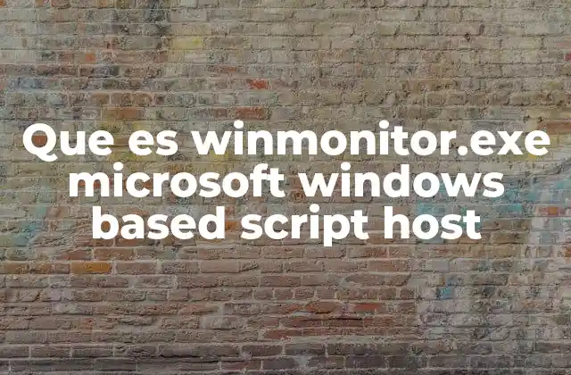 Que es Winmonitor.exe Microsoft Windows Based Script Host