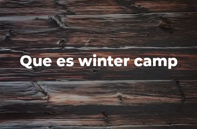 Que es Winter Camp