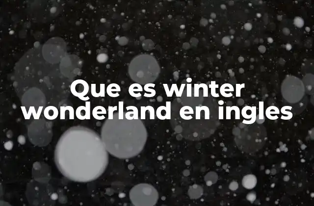 Que es Winter Wonderland en Ingles