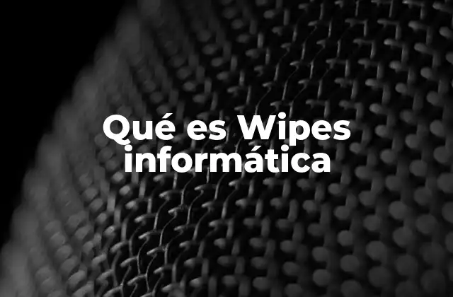 Qué es Wipes Informática