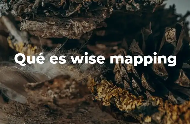 Qué es Wise Mapping