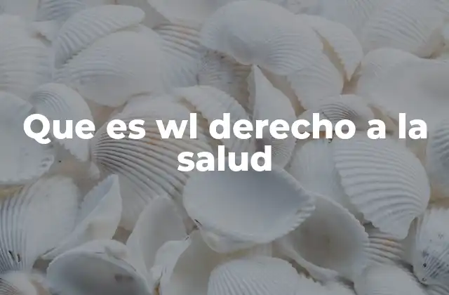 Que es Wl Derecho a la Salud