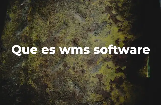 Que es Wms Software