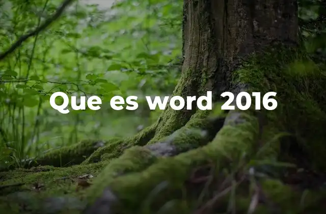 Que es Word 2016