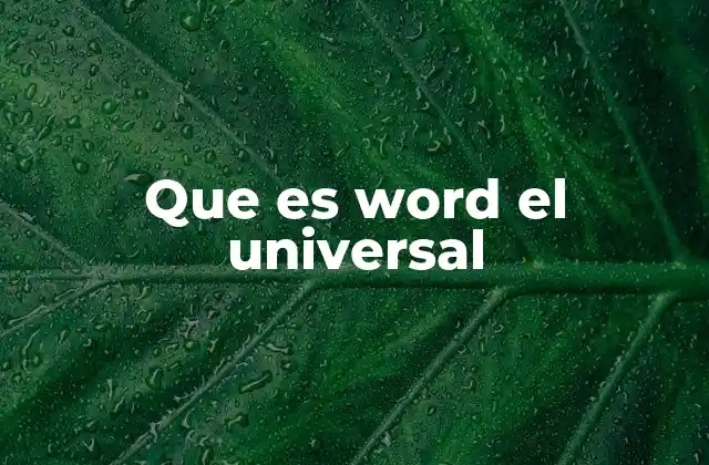 Que es Word el Universal