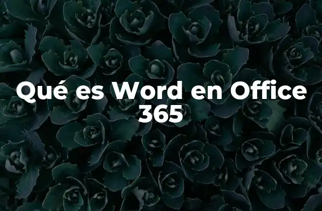 Qué es Word en Office 365 2 La importancia de Word en la suite Office 365