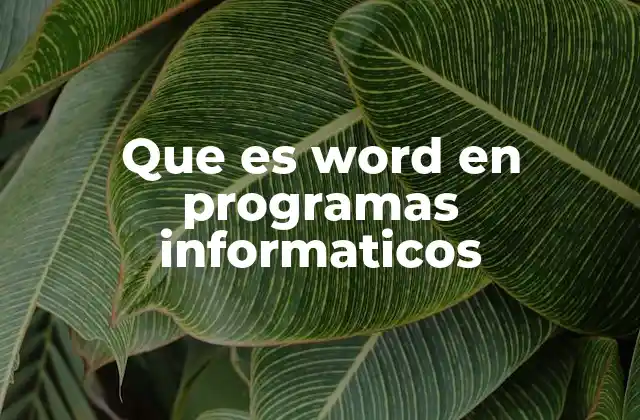 Que es Word en Programas Informaticos