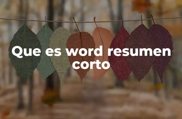 Que es Word Resumen Corto