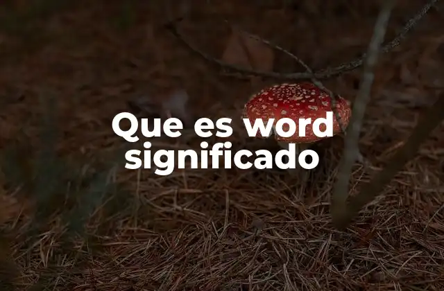 Que es Word Significado