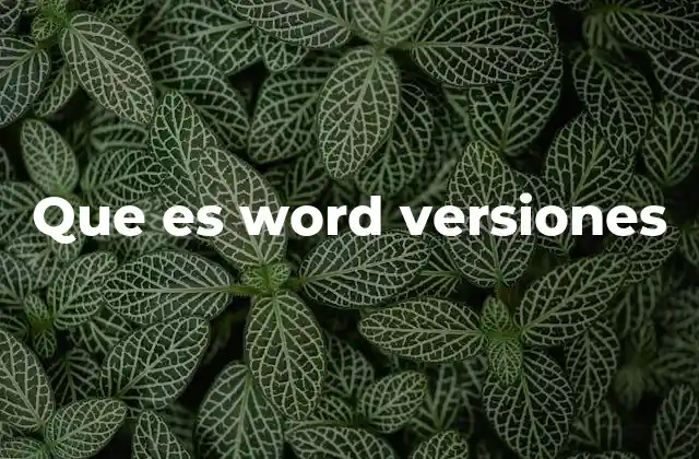 Que es Word Versiones