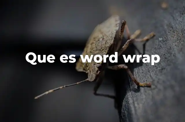 Que es Word Wrap
