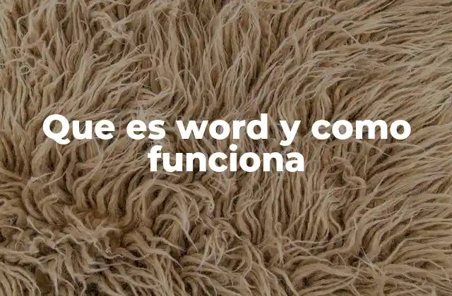 Que es Word y como Funciona