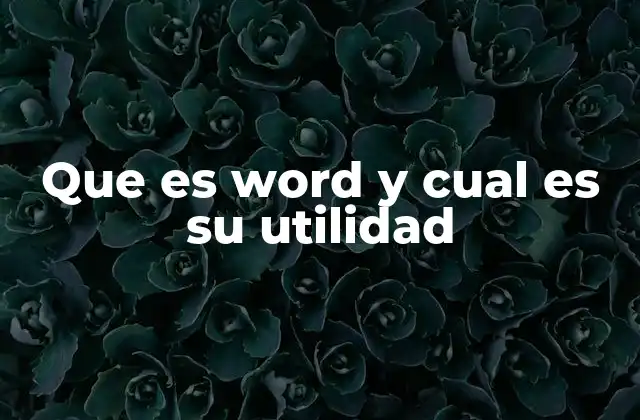 Que es Word y Cual es Su Utilidad