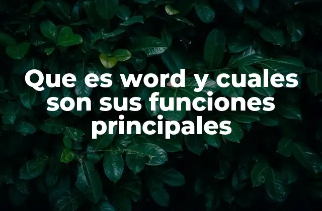 Que es Word y Cuales Son Sus Funciones Principales 2 Un paseo por la historia de Microsoft Word
