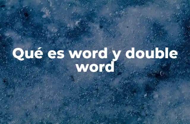 Qué es Word y Double Word