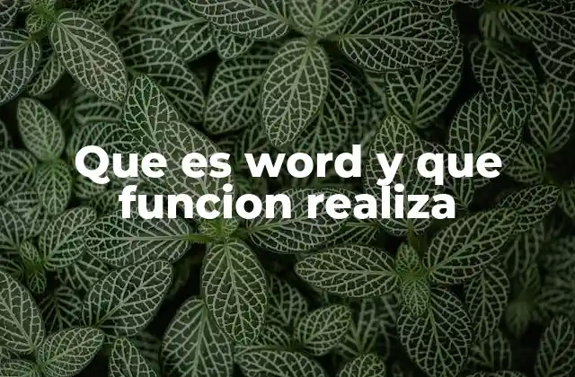 Que es Word y que Funcion Realiza