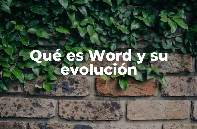 Qué es Word y Su Evolución