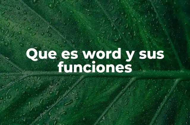 Que es Word y Sus Funciones 2 Las herramientas esenciales de Microsoft Word