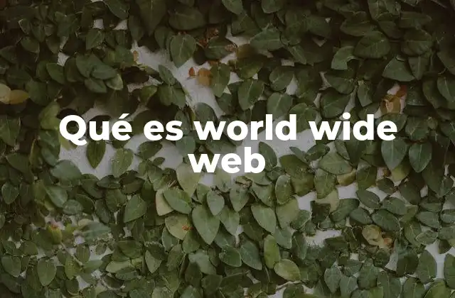 Qué es World Wide Web