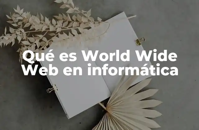 Qué es World Wide Web en Informática