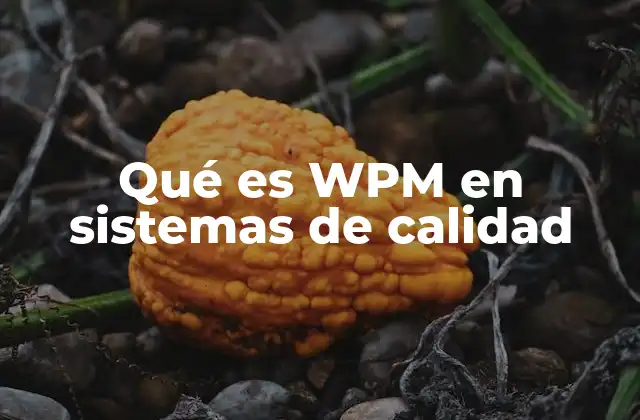Qué es Wpm en Sistemas de Calidad