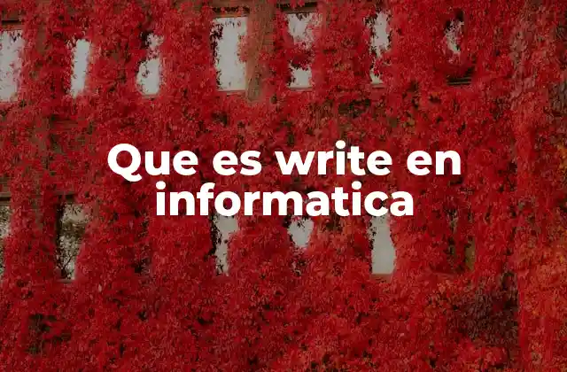Que es Write en Informatica 2 La operación de escritura en el contexto de los sistemas operativos