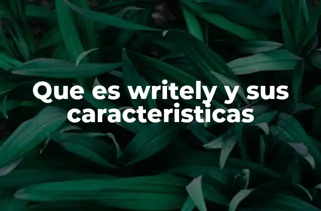 Que es Writely y Sus Caracteristicas