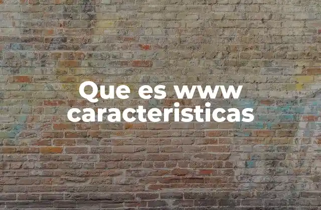 Que es Www Caracteristicas