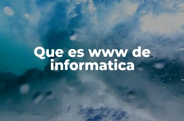 Que es Www de Informatica