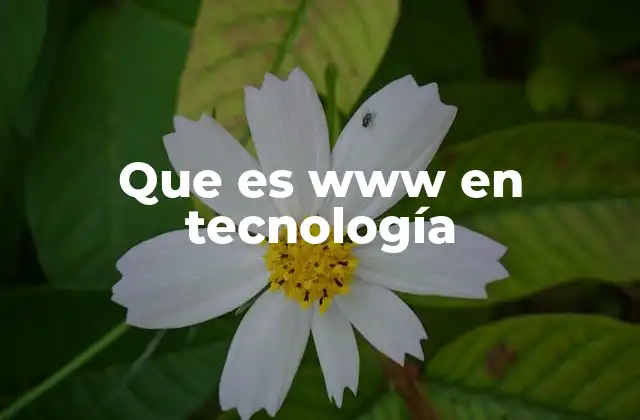 Que es Www en Tecnología