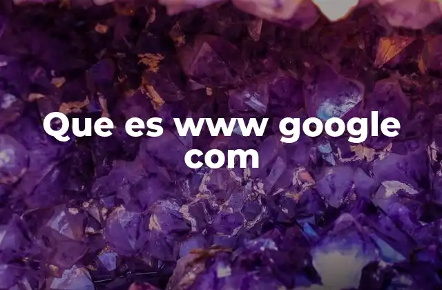 Que es Www Google Com