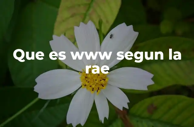 Que es Www Segun la Rae