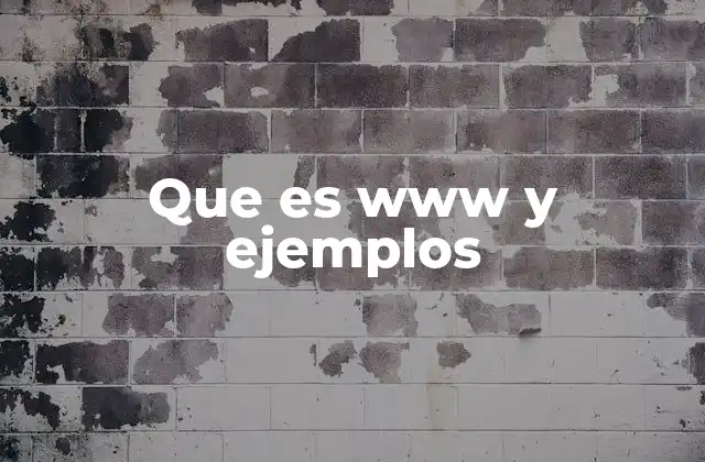 Que es Www y Ejemplos