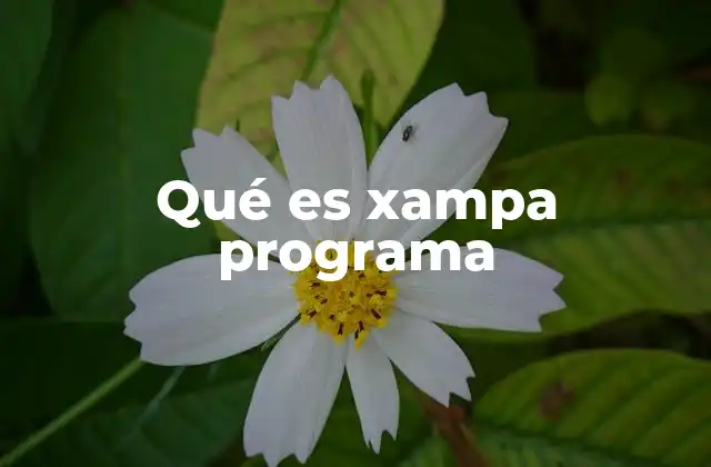 Qué es Xampa Programa